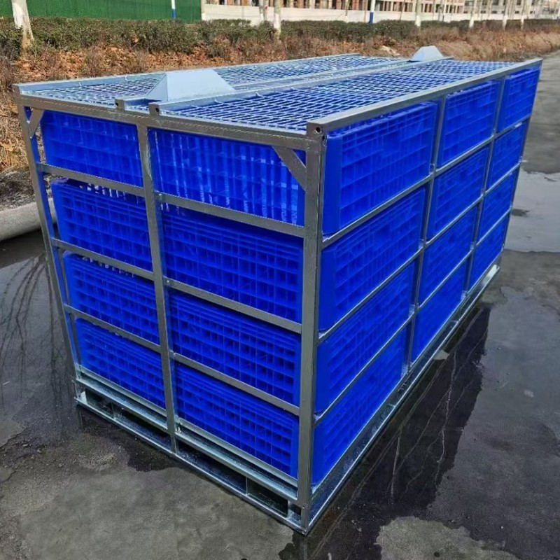 product-800-800